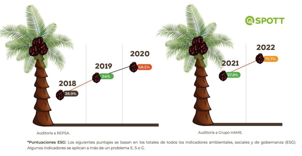 GRAFICA-1024x529