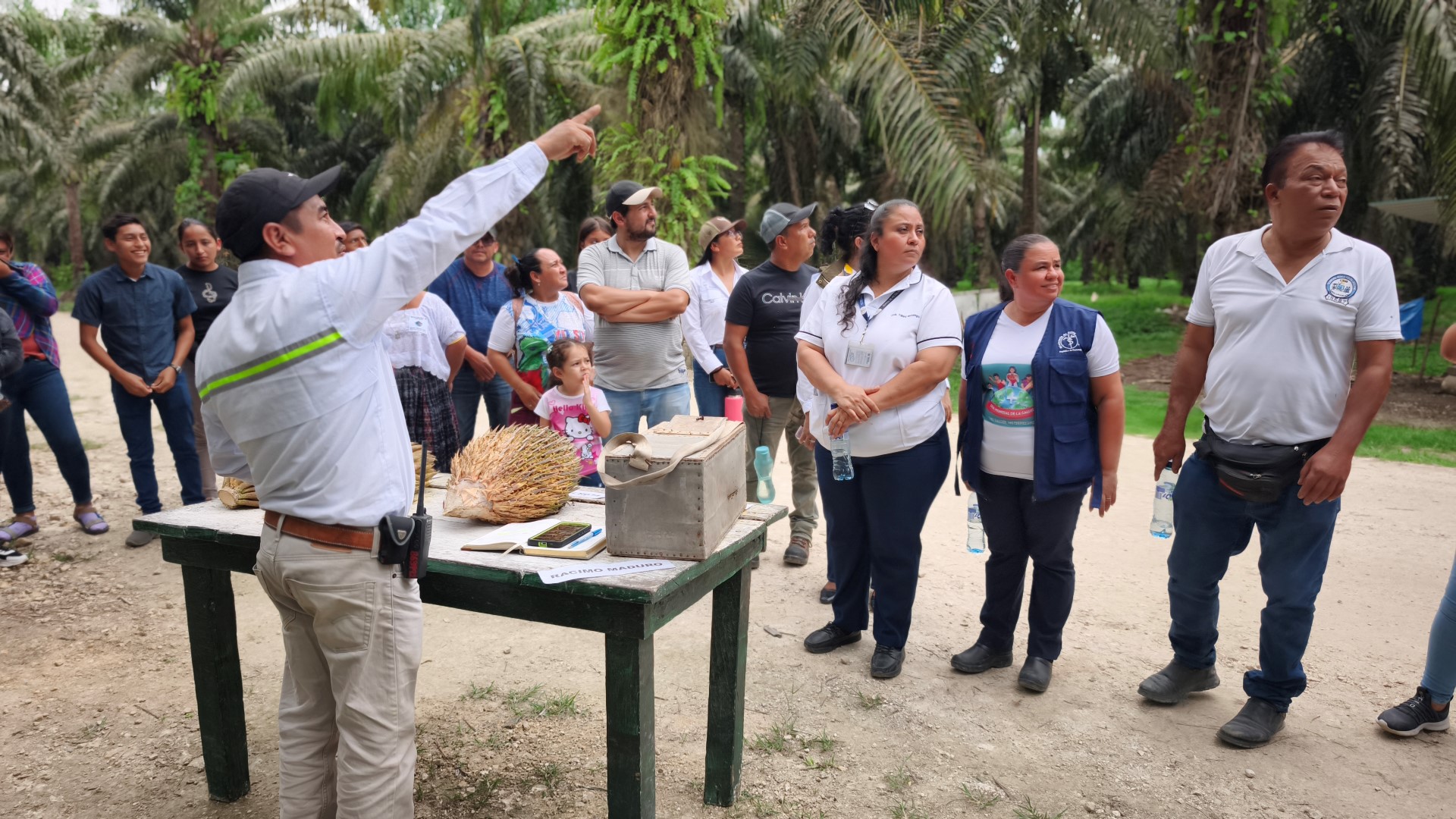 Plan de mitigación de impacto REPSA 2025