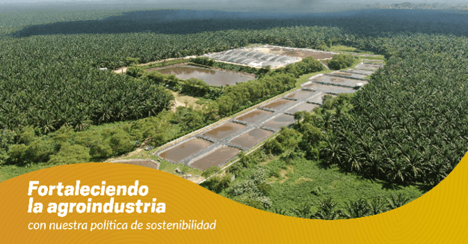 fortaleciendo-la-agroindustria