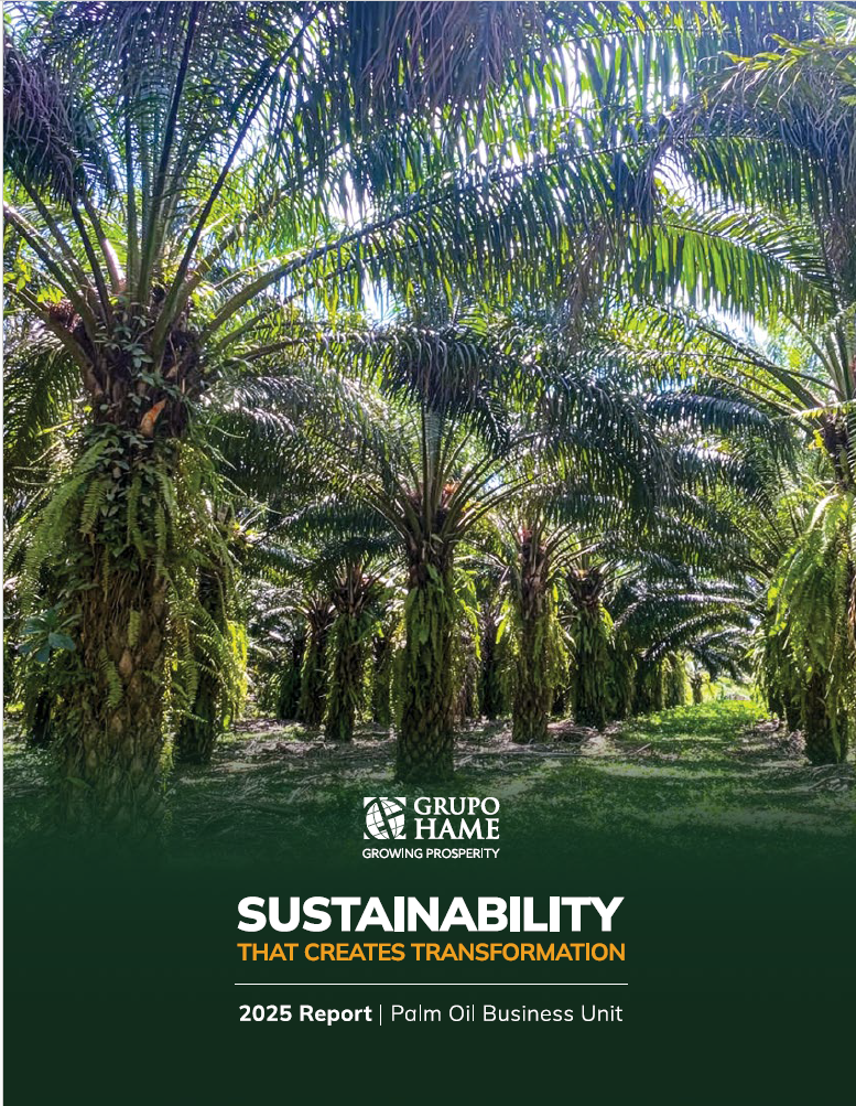 Imagen sobre  Sustainability Report